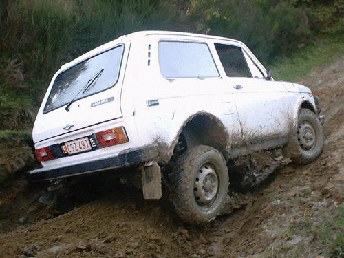 niva1.gif